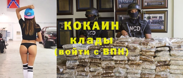 спайс Богданович