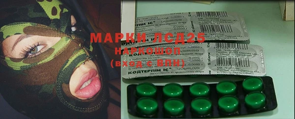 спайс Богданович