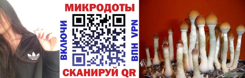 Галлюциногенные грибы Magic Shrooms  Болхов 